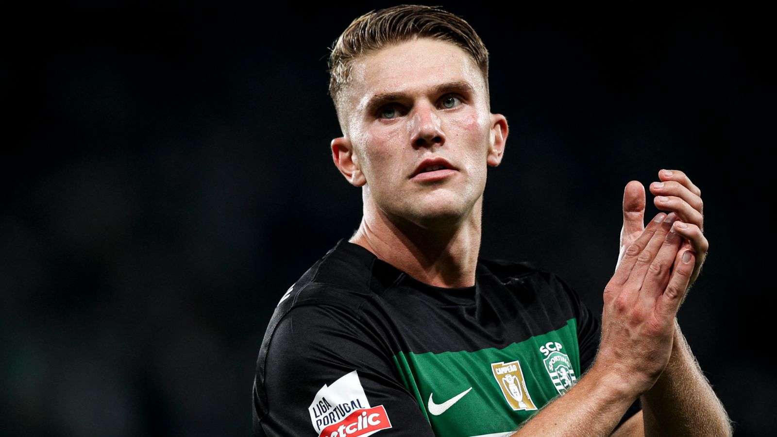 我们将总结 我们将总结