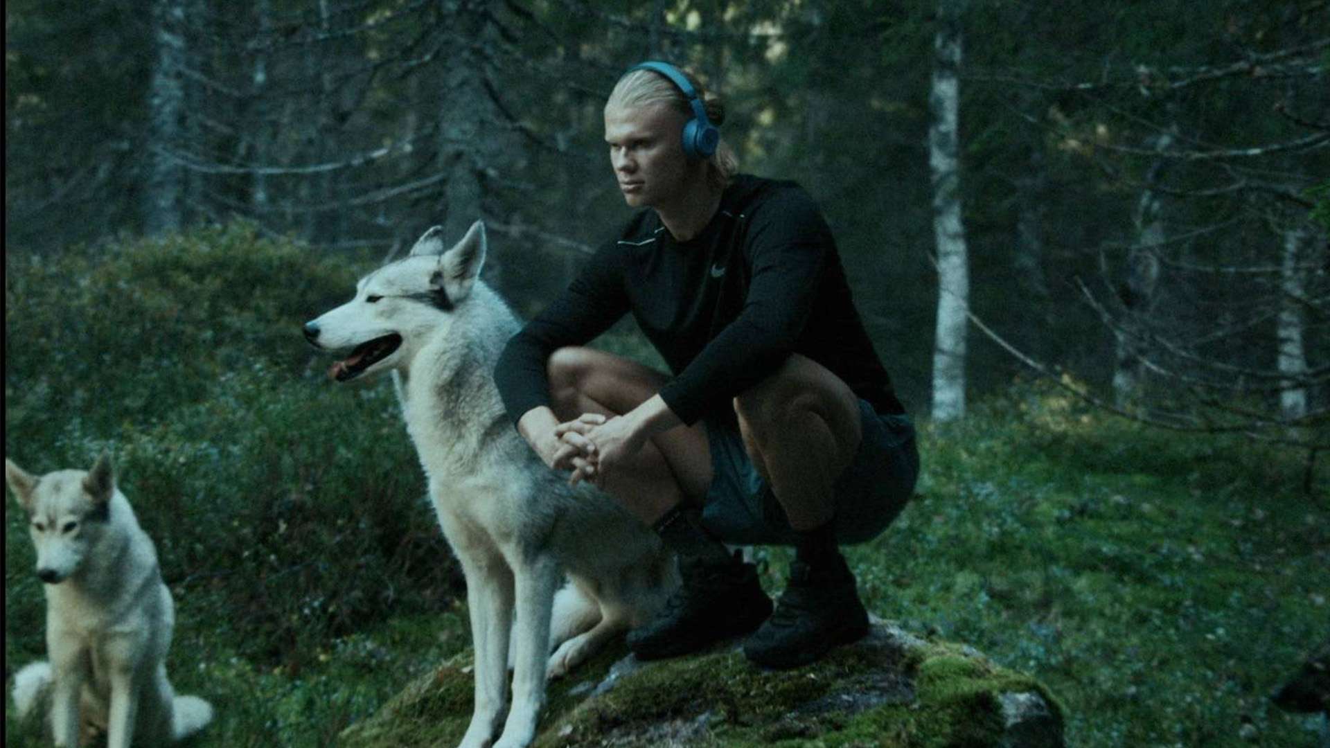 们将凝聚起 们将凝聚起